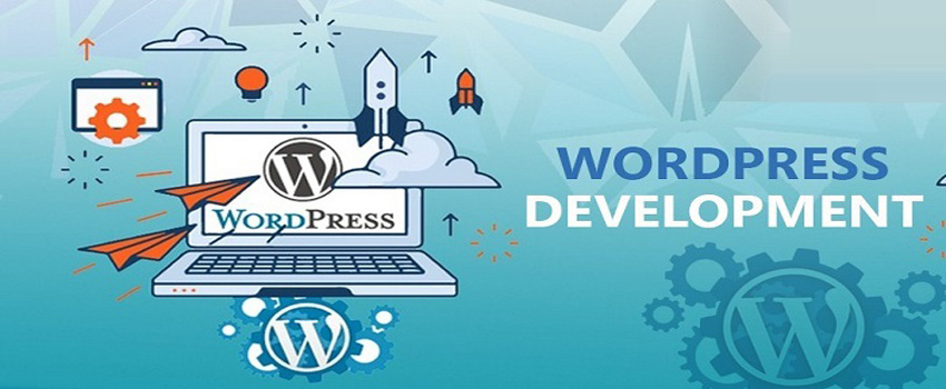 Wordpress Website Development Company